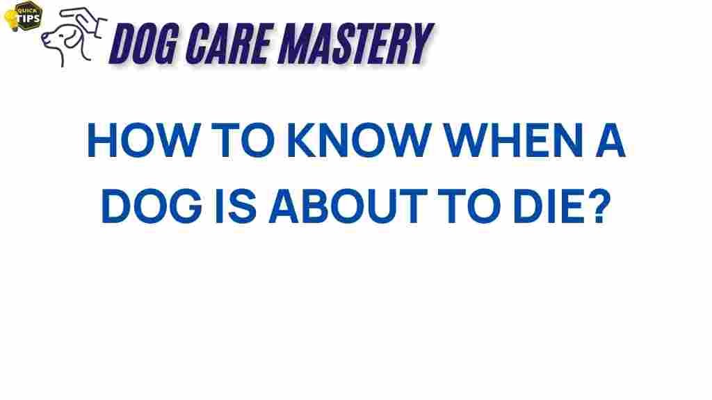 understanding-signs-dog-health