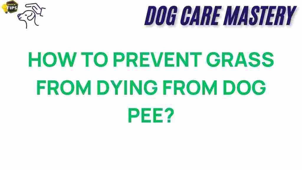 protect-lawn-dog-urine