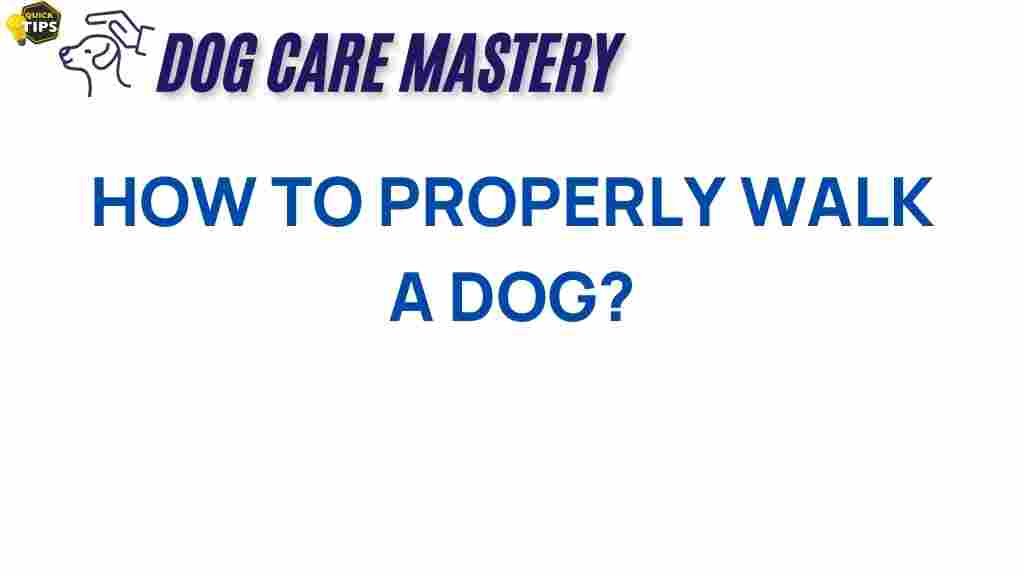dog-walking-tips