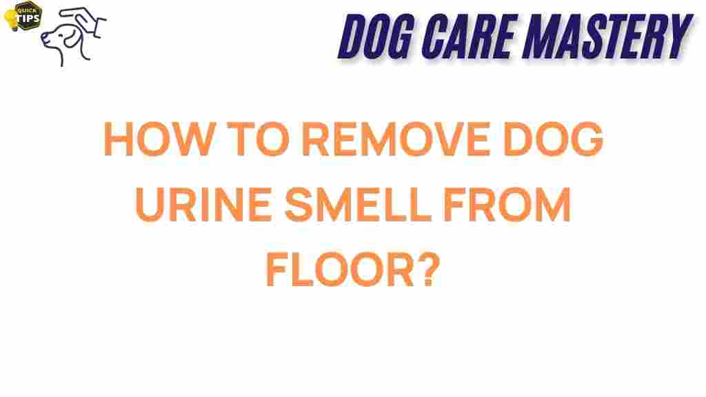 dog-urine-smell-removal