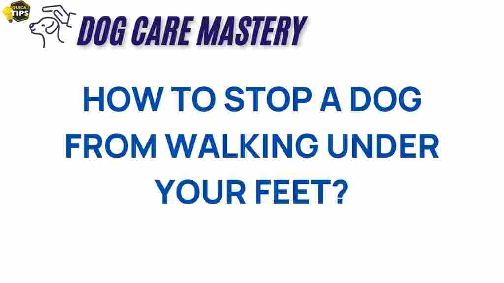 stop-dog-walking-underfoot