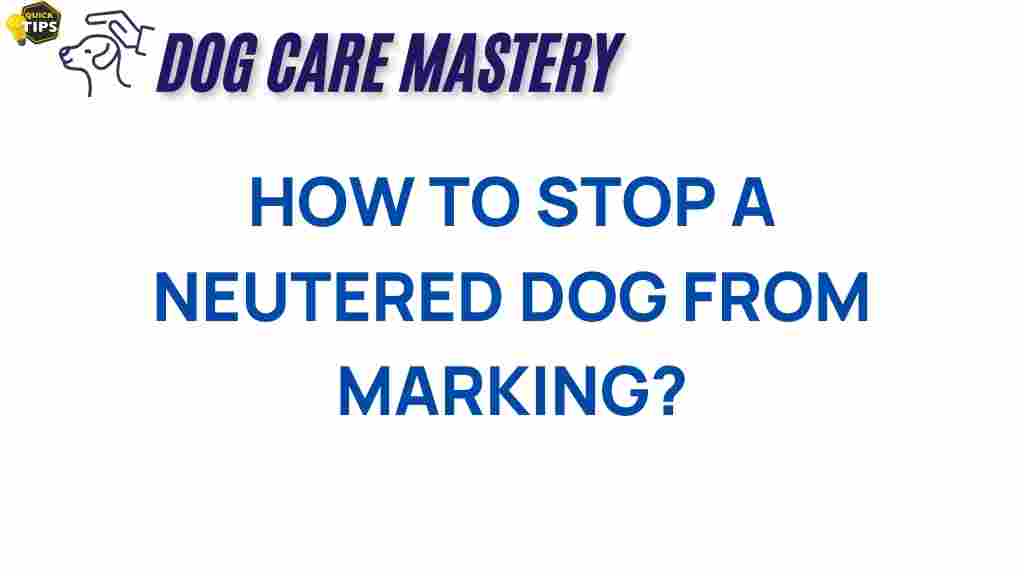 neutered-dogs-marking-behavior