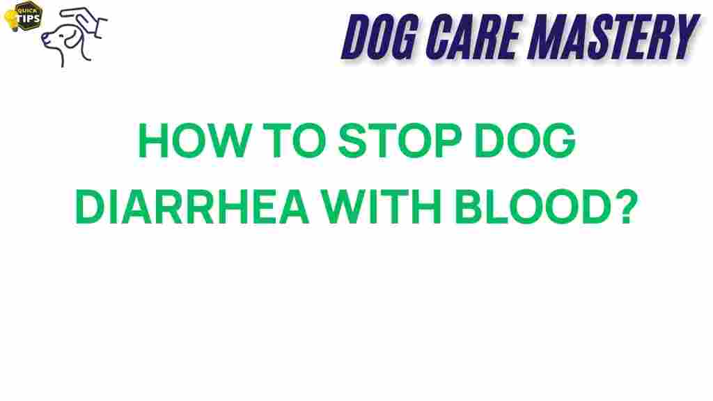 stop-dog-diarrhea-with-blood