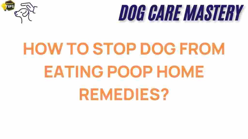 stop-dog-eating-poop-home-remedies