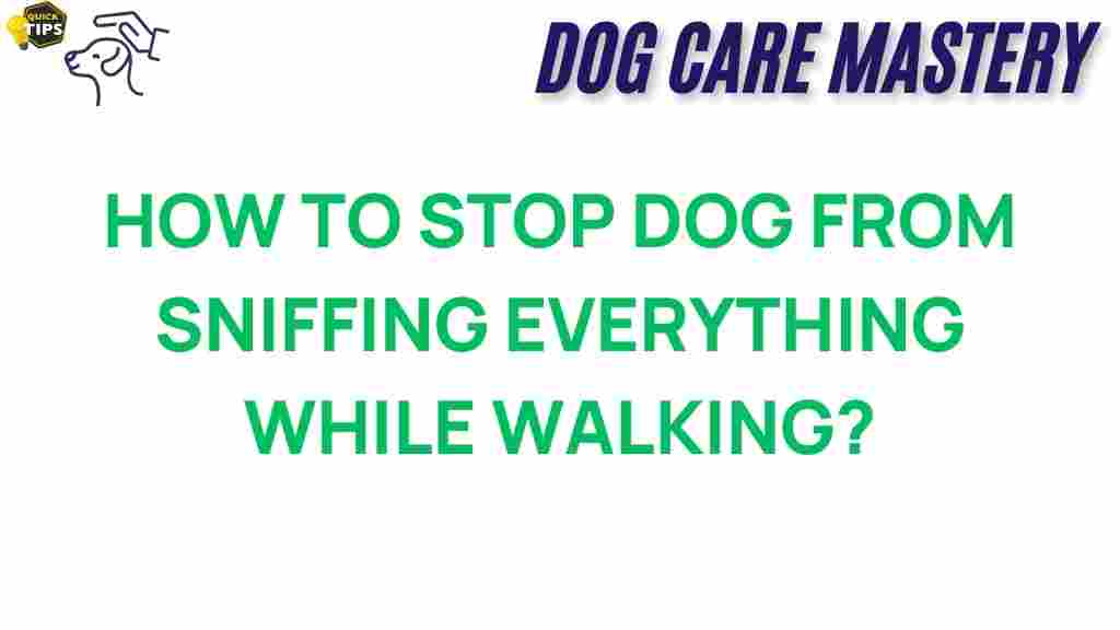 stop-dog-sniffing-while-walking