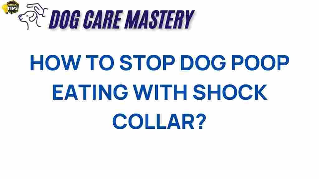 stop-dog-poop-eating-shock-collar