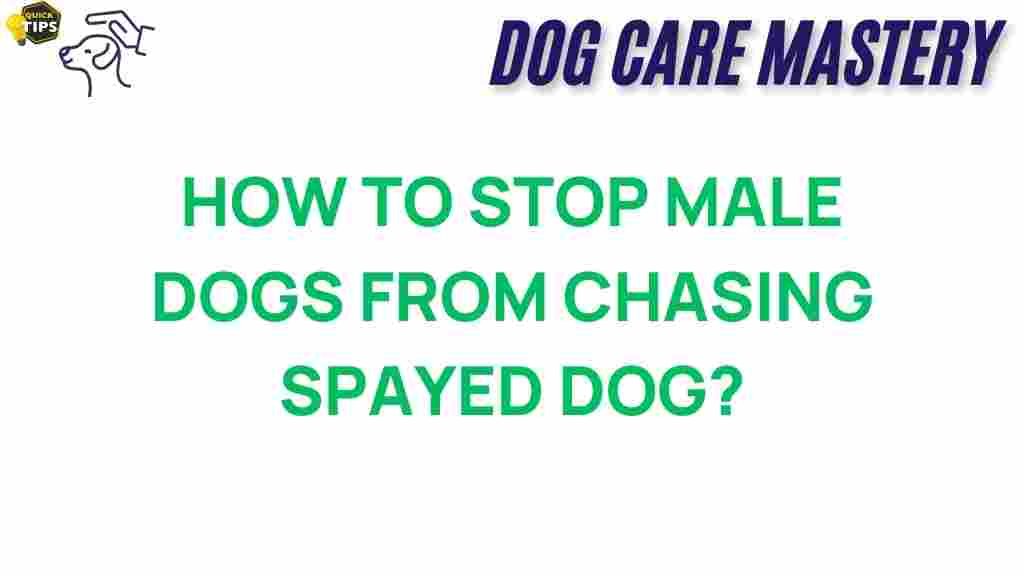 male-dogs-chasing-spayed-dogs
