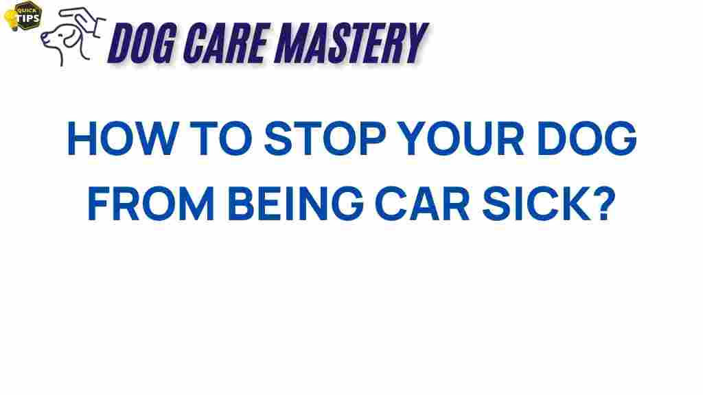 dog-car-sickness-solutions