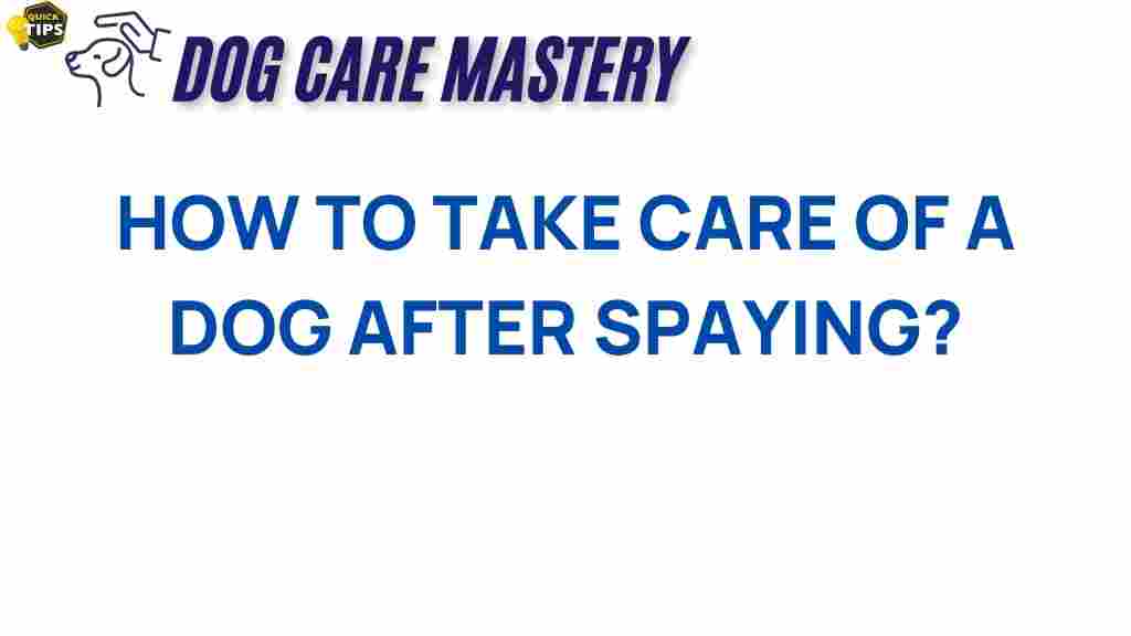 dog-care-tips-after-spaying