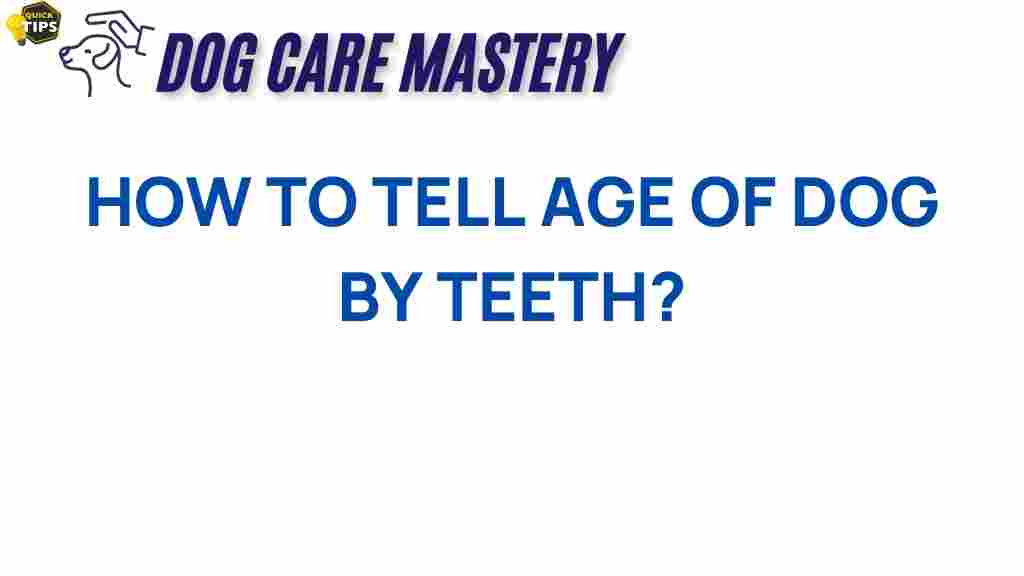 dog-age-by-teeth