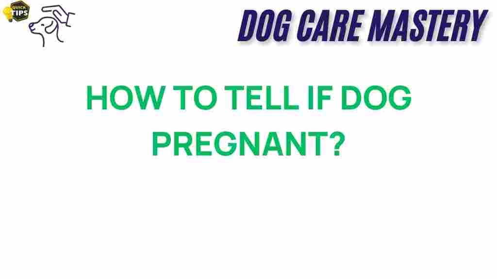 dog-pregnancy-signs
