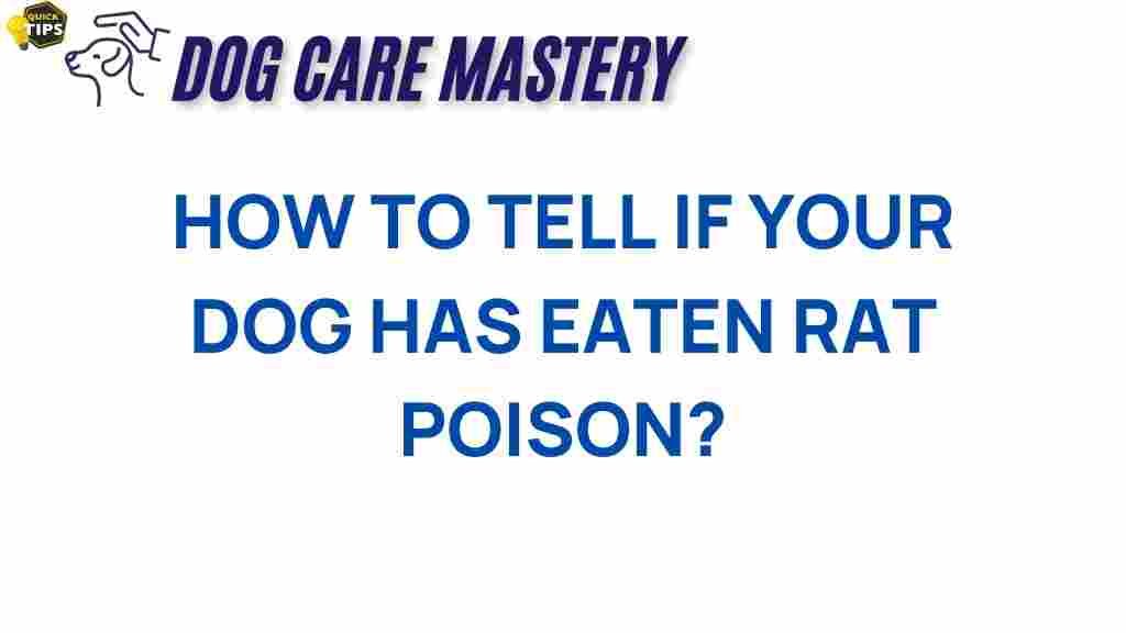 rat-poison-dog-symptoms