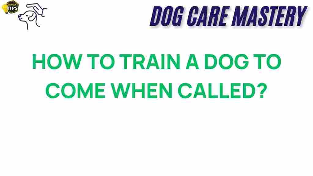 dog-training-recall-techniques