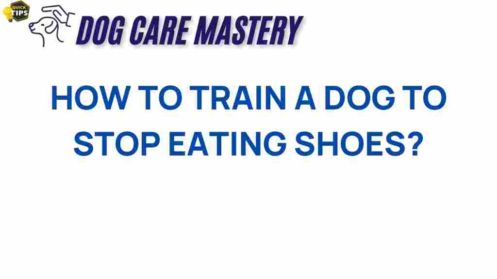 stop-dog-chewing-shoes