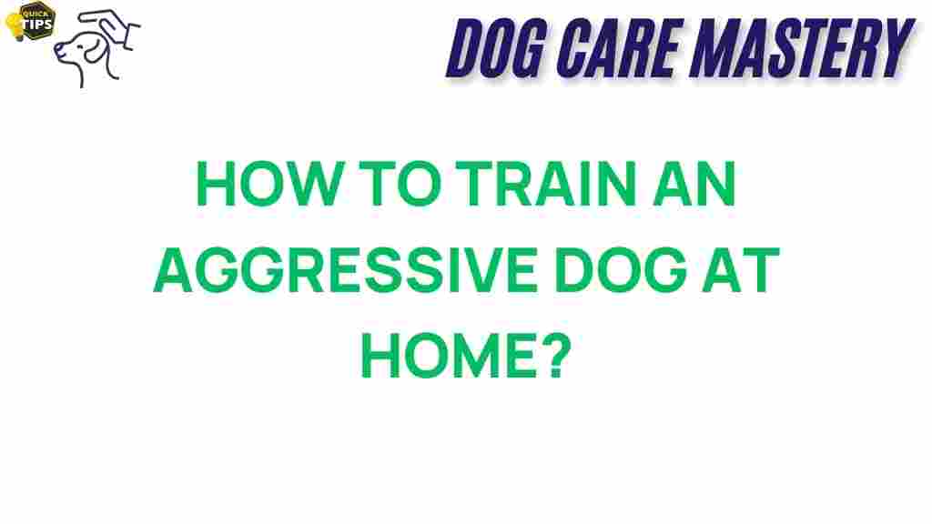 aggressive-dog-training-home