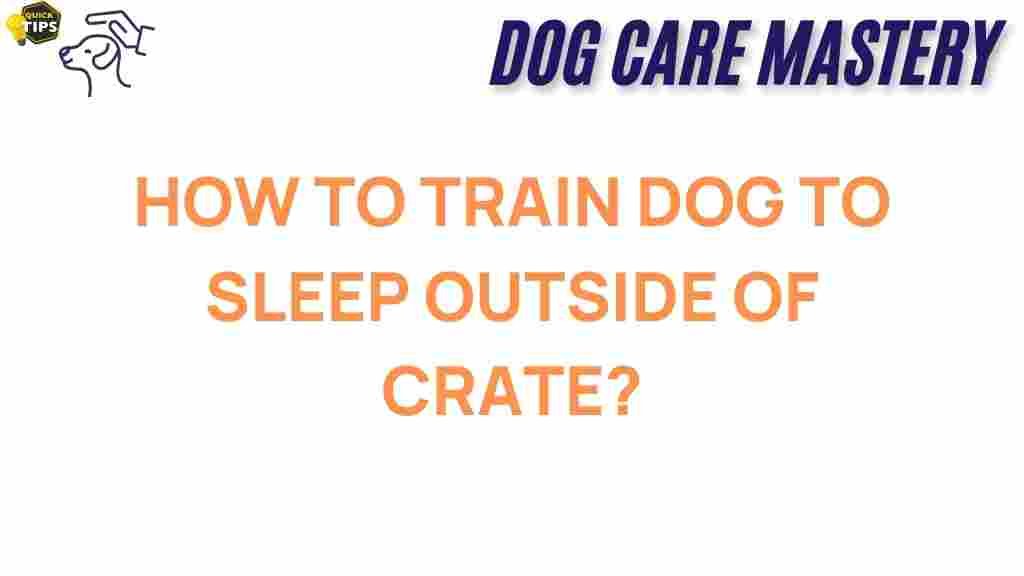 dog-training-outdoor-sleep