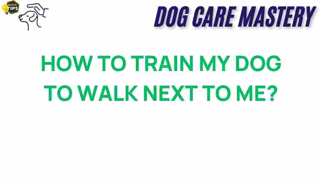 dog-training-walk-beside-you