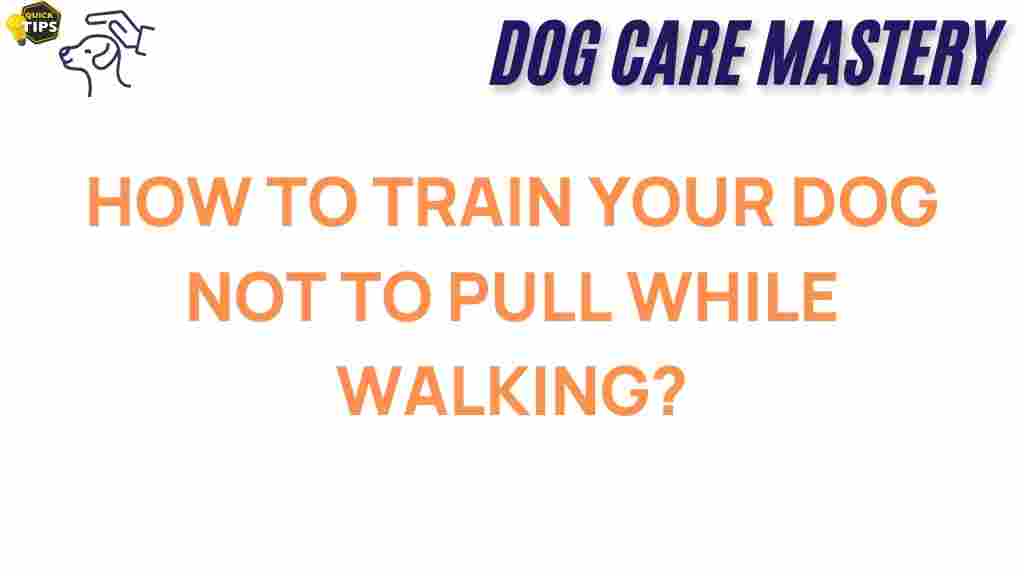 dog-training-stop-leash-pulling