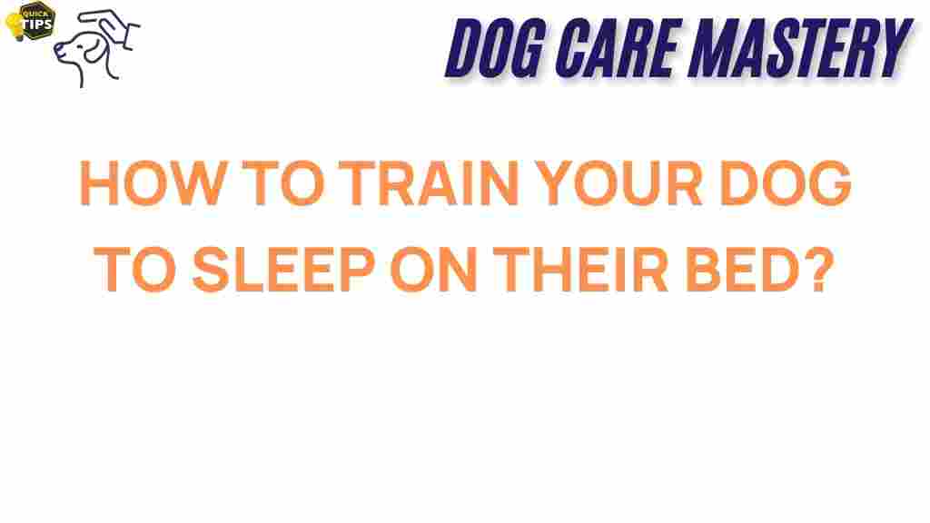dog-training-bedtime-success