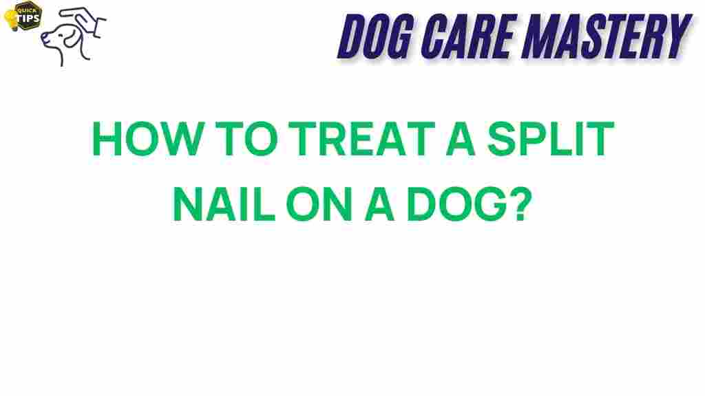 split-nail-treatment-dog