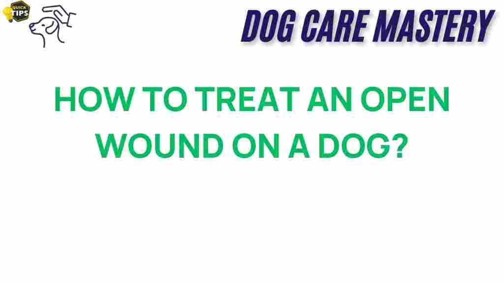 dog-first-aid-treat-open-wound