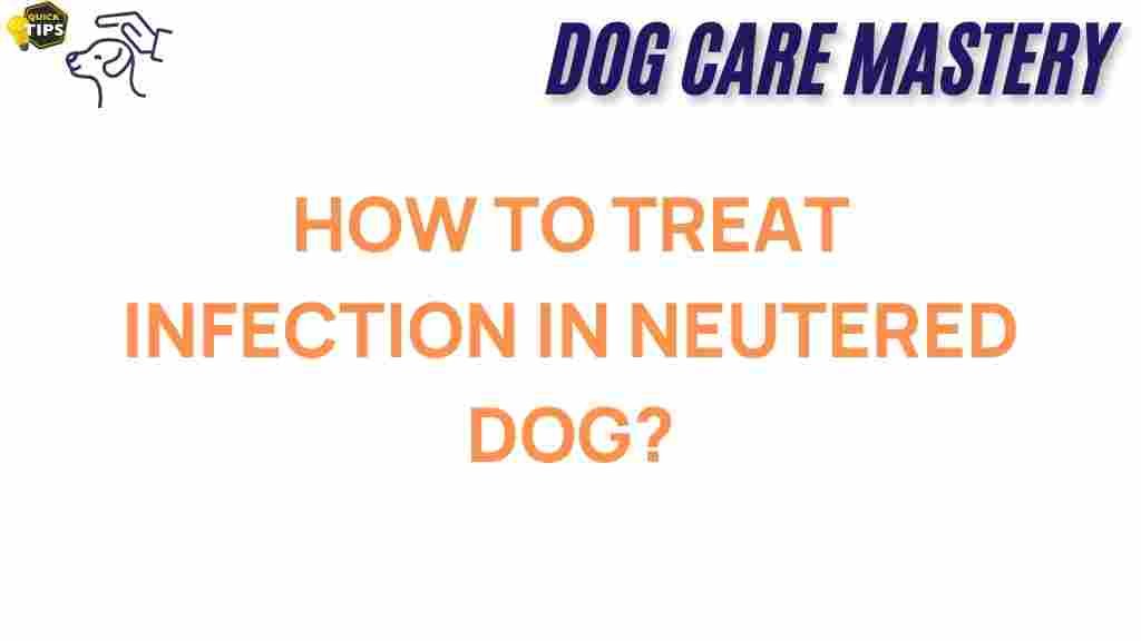 treat-infection-neutered-dogs