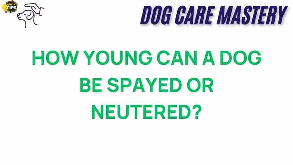 spaying-neutering-age-dog
