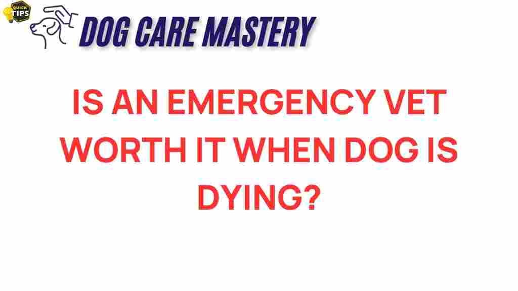 emergency-vet-worth-it-dog
