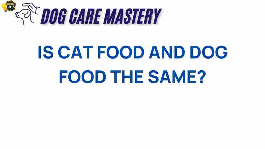is-cat-food-same-as-dog-food