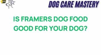 Is Framers Dog Food the Best Choice for Your Canine Companion?