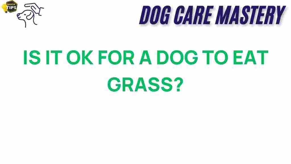 dogs-eating-grass-truth-behind-behavior
