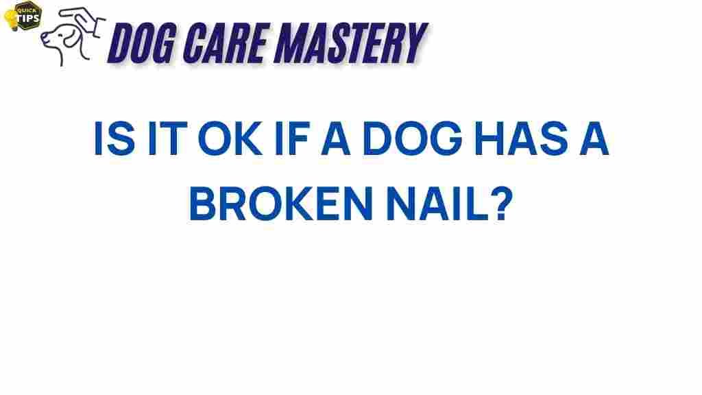 dog-care-broken-nail