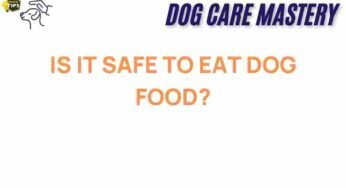 Is It Safe to Eat Dog Food? The Surprising Truth Unveiled