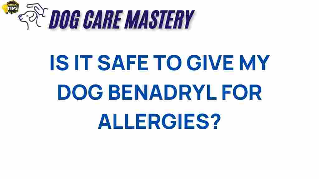 dog-allergies-benadryl-safety