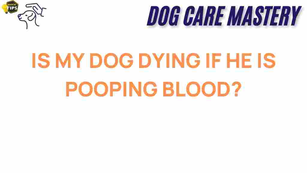 dog-health-blood-in-stool