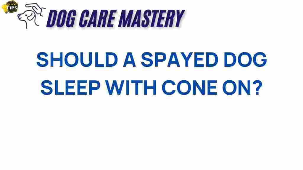 spayed-dog-sleep-cone