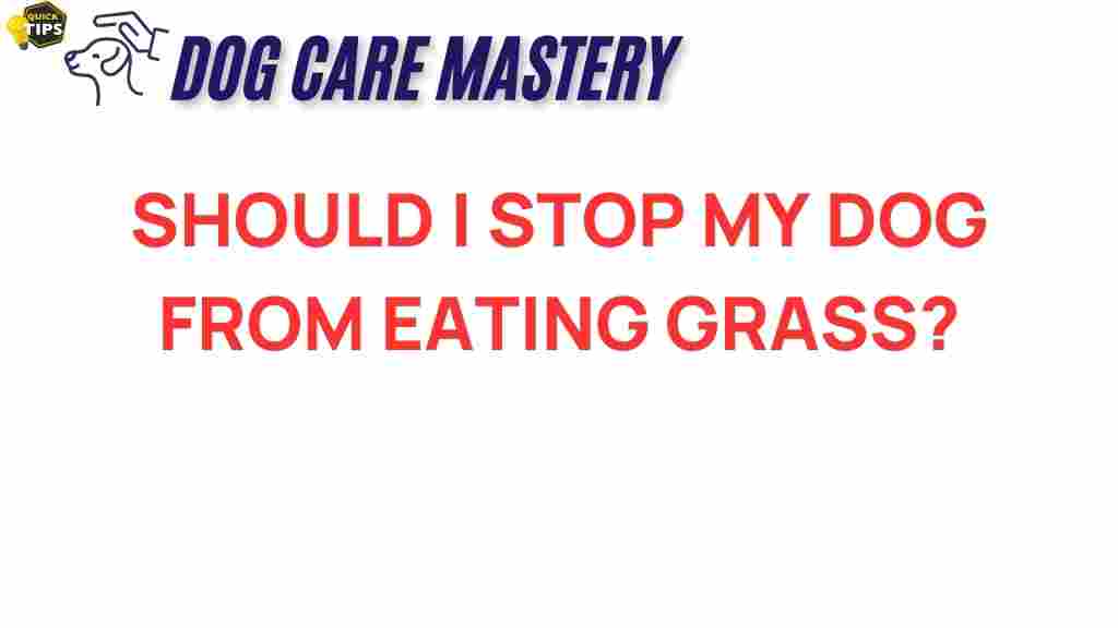 dog-grass-eating