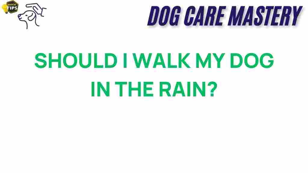 dog-walking-in-rain