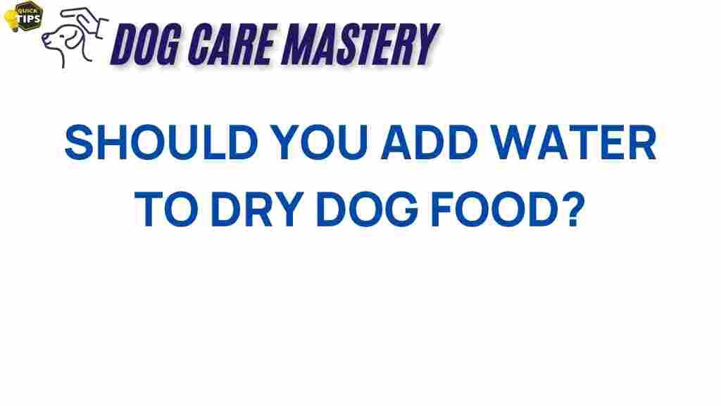 adding-water-to-dry-dog-food