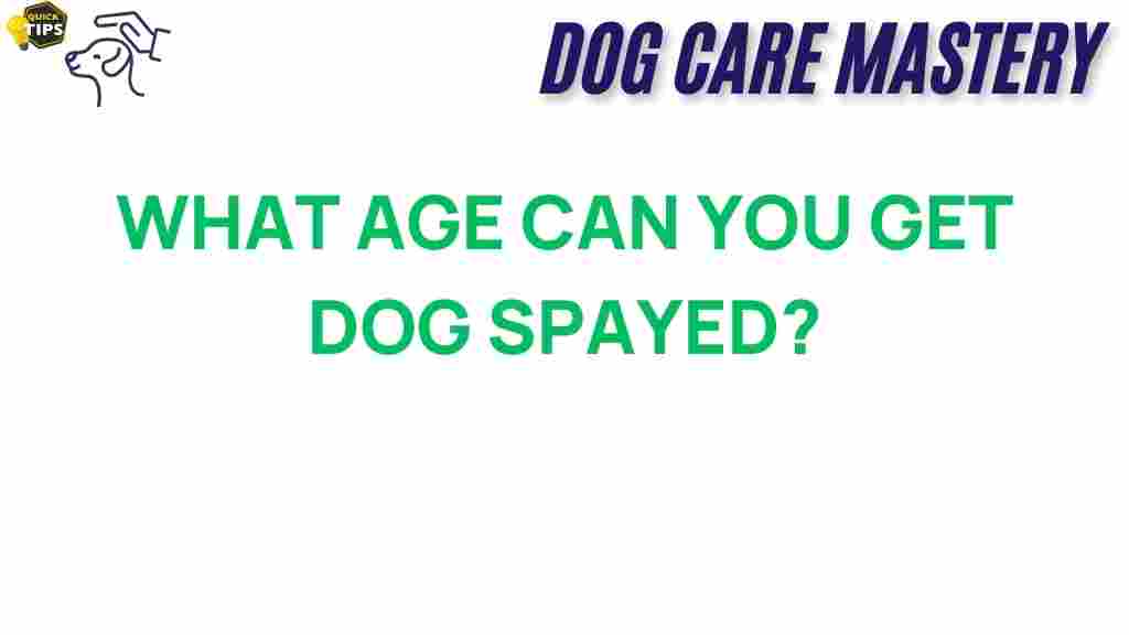 dog-spaying-age-guide