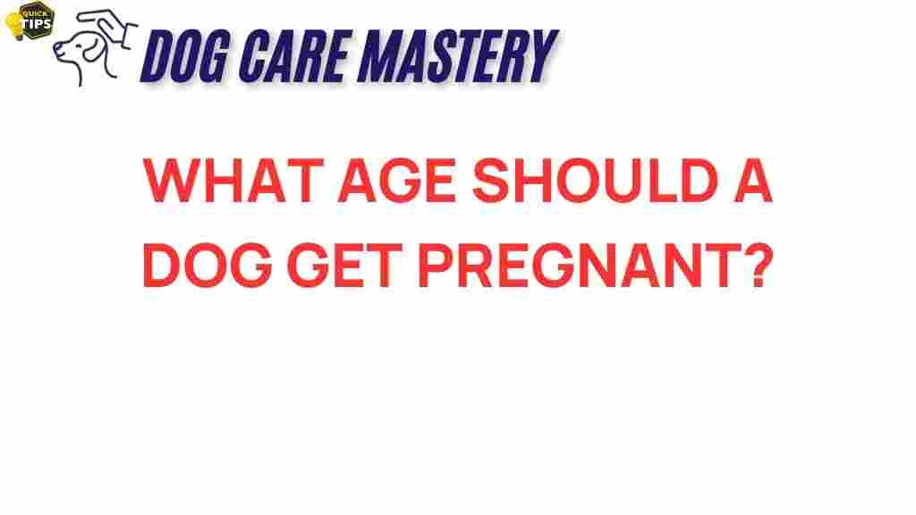 dog-pregnancy-age