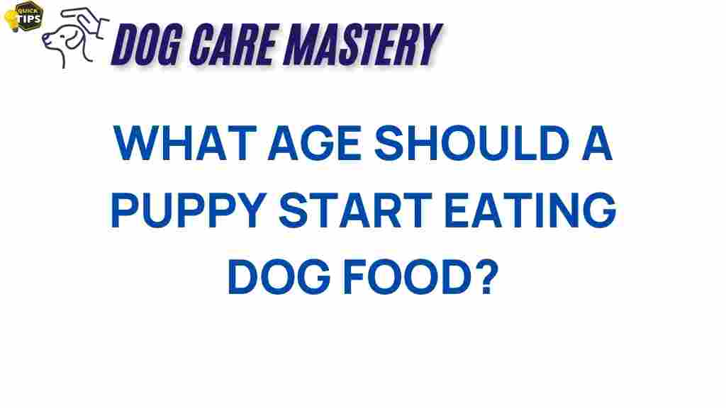 puppy-start-eating-dog-food