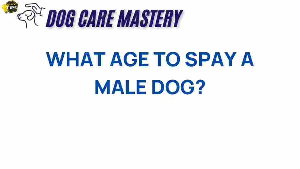 spay-male-dog-age