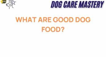 Unveiling the Secrets of Good Dog Food: What Every Pet Owner Should Know