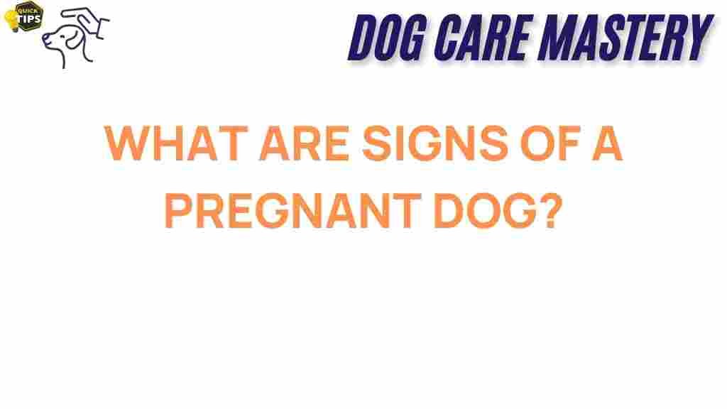 pregnant-dog-signs
