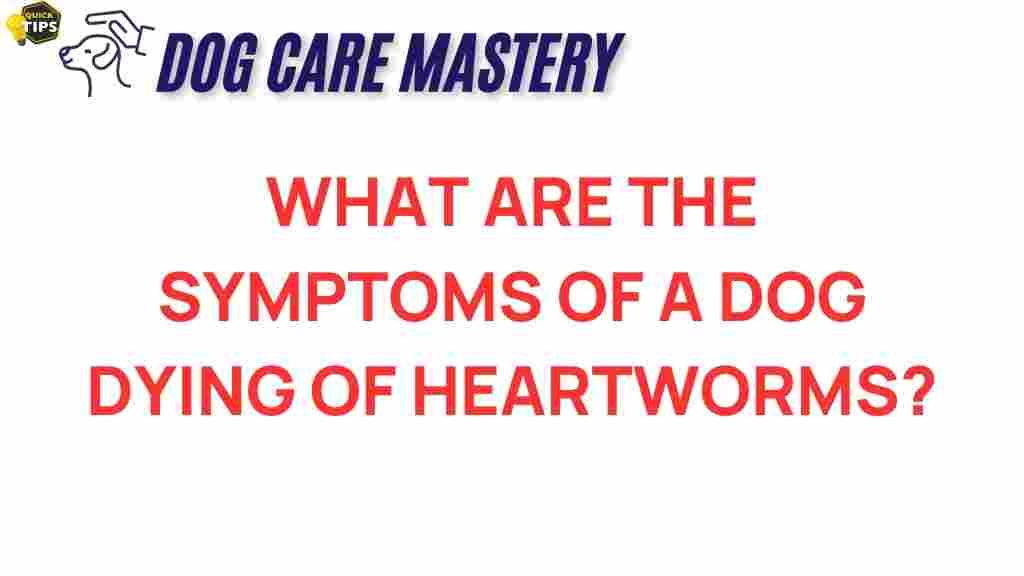heartworms-dog-symptoms