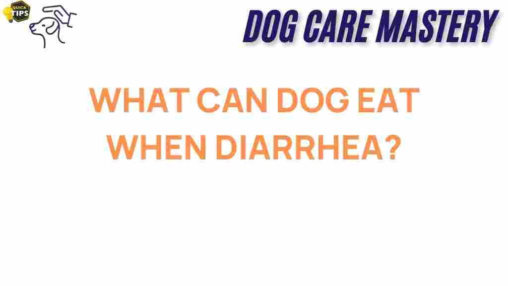 dog-diarrhea-what-can-dogs-eat