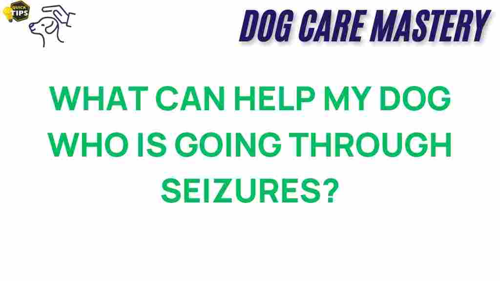 canine-seizures-help