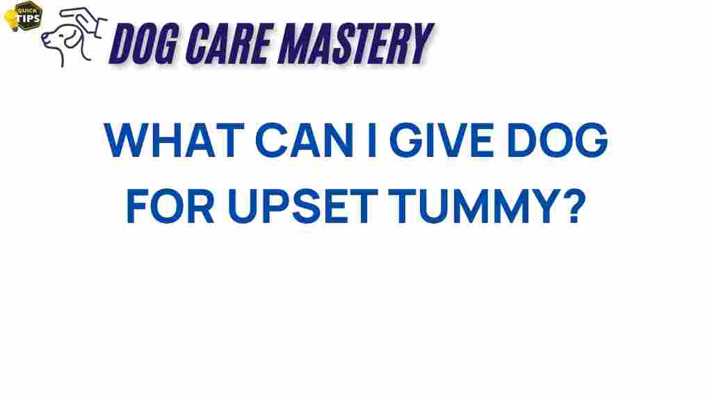 dog-upset-tummy-remedies