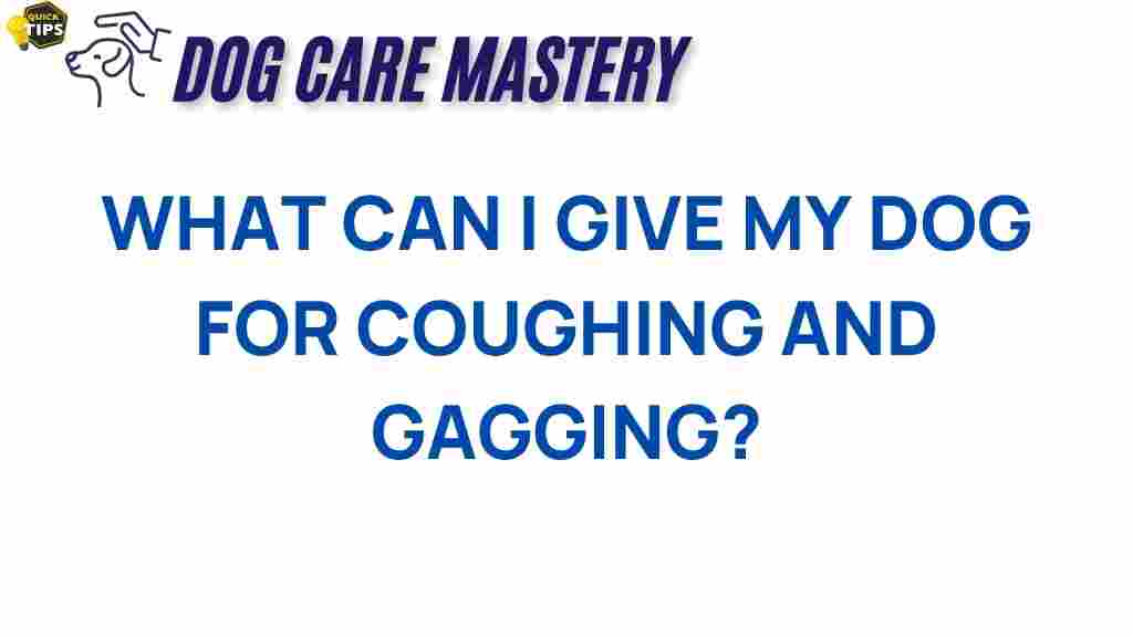 dog-coughing-remedies